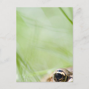 Washington, USA Postkarte