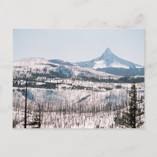 Washington vom Santiam Pass aus Postkarte