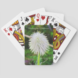 Washington Wildflower Pasqueflower White Seed Head Spielkarten