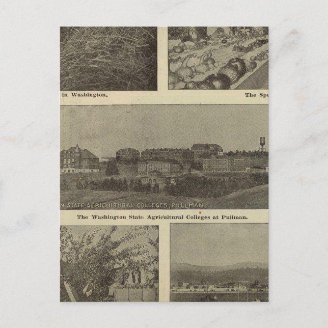 Washingtons vielseitiger Nervenkitzel Postkarte (Vorderseite)