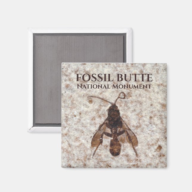 Wasp Fossil, Fossil Lake, Fossil Butte NM, Wyoming Magnet (Vorderseite/Rückseite)