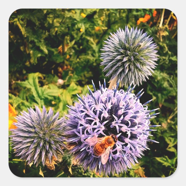 Wasp in blauen Blumen Quadratischer Aufkleber (Vorderseite)