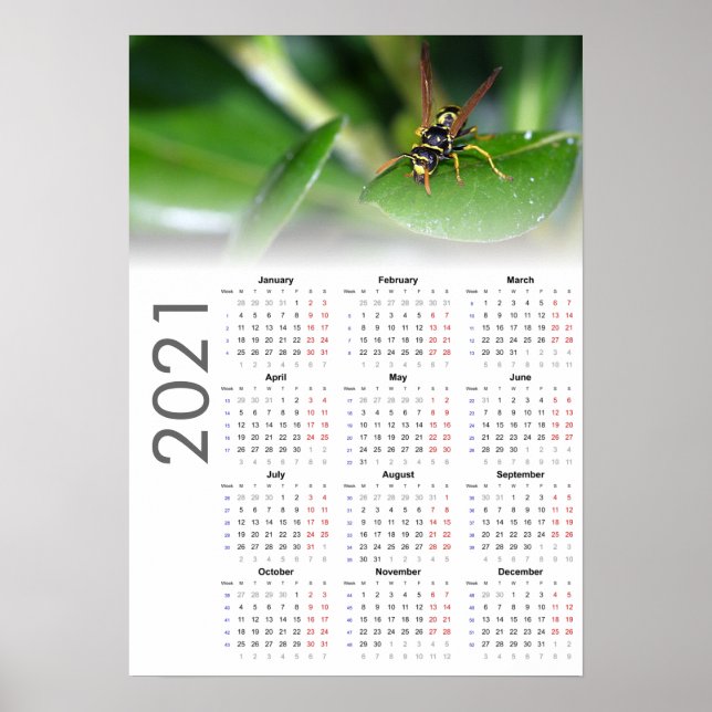 Wasp Kalender 2021 Poster - Montag starten (Vorne)