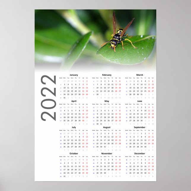 Wasp Kalender 2022 Poster - Montag starten (Vorne)