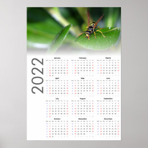 Wasp Kalender 2022 Poster - Sonntagsstart