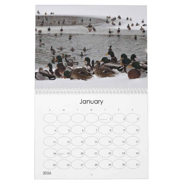 Wasser auf dem Gehirn 2 Kalender (Jan 2026)