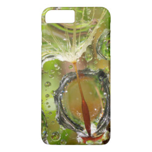 Wasser auf Löwenzahnsamen, CA Case-Mate iPhone Hülle