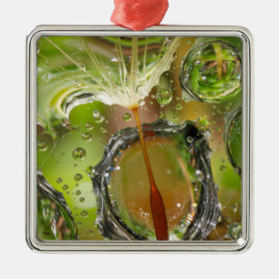 Wasser auf Löwenzahnsamen, CA Ornament Aus Metall