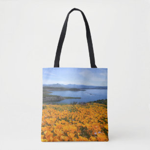 Wasser California Lake with Golden Poppies