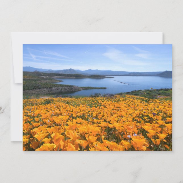 Wasser | California Lake with Golden Poppies Dankeskarte (Vorderseite)