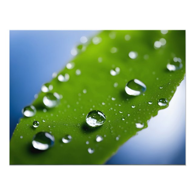 Wasser fällt auf Blätter Fotodruck (Vorne)