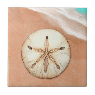 Wasser Farbe Sand Dollar am Strand Fliese
