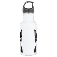 Wasser-Flasche Bostons Terrier