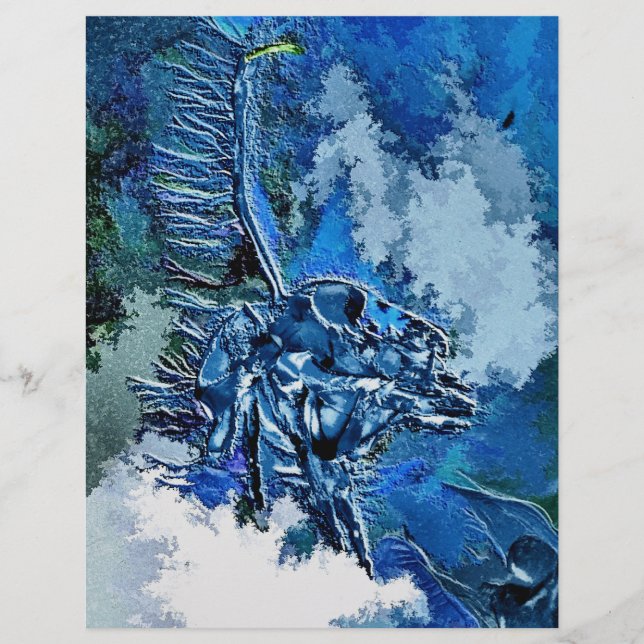 WASSER FLYER (Vorne)