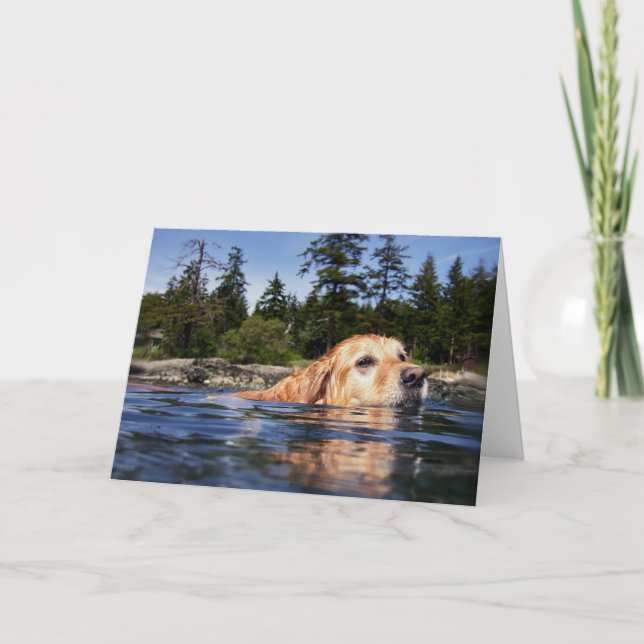 Wasser-Hund - Karten (Vorderseite)