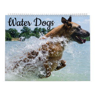 Wasser-Hunde Kalender