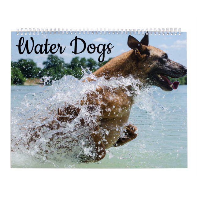 Wasser-Hunde Kalender (Titelbild)