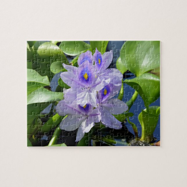 Wasser Hyazinth Lavendel Blume Puzzle (Horizontal)