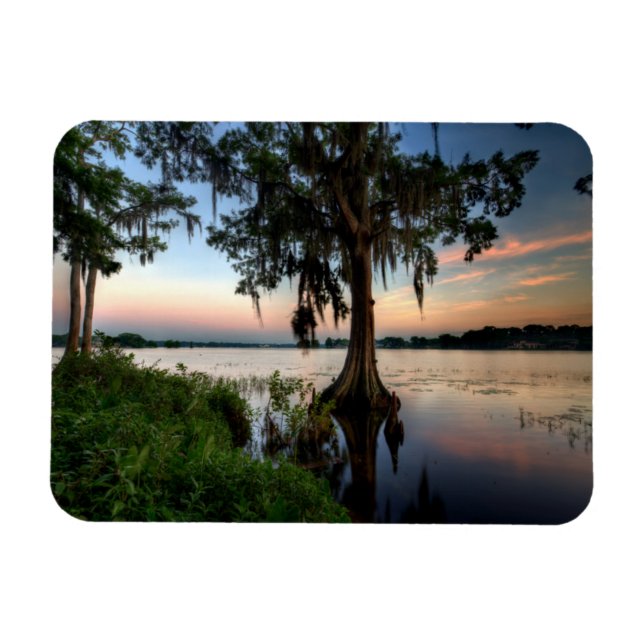 Wasser | Kraft Azalea Park Maitland Florida Magnet (Horizontal)