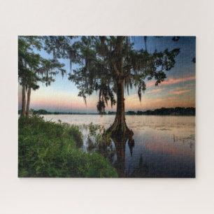 Wasser   Kraft Azalea Park Maitland Florida Puzzle