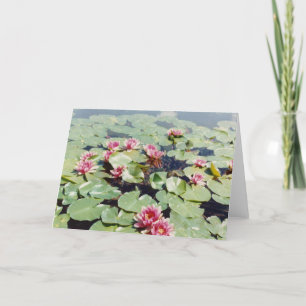Wasser-Lilien 01 Karte