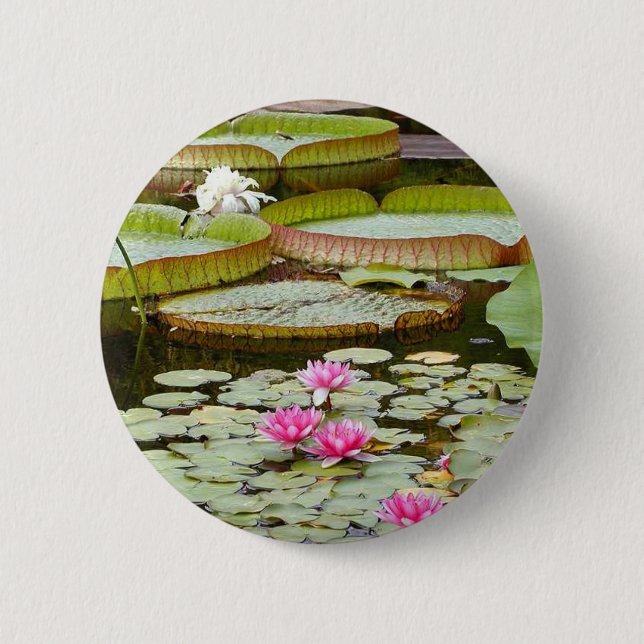 Wasser-Lilien-Auflage-Teiche Button (Vorderseite)