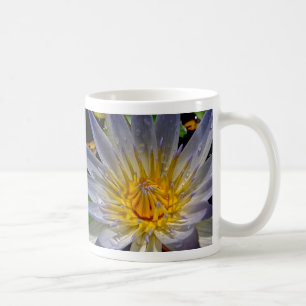 Wasser-Lilien-Blau u. Gold Kaffeetasse