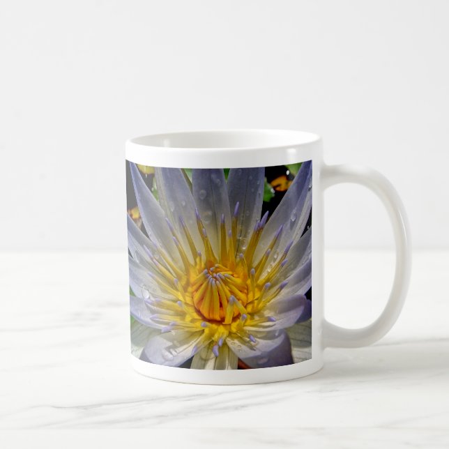 Wasser-Lilien-Blau u. Gold Kaffeetasse (Rechts)