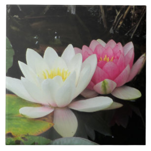 WASSER-LILIEN durch SHARON SHARPE Fliese