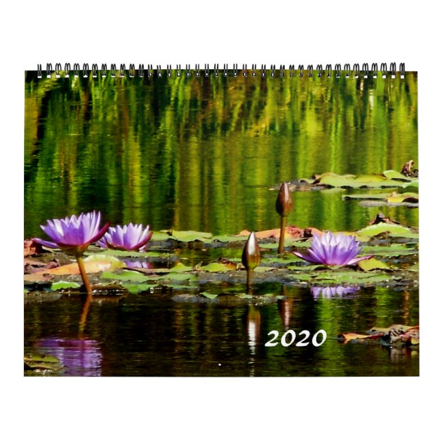 Wasser-Lilien-Kalender 2020 Kalender (Titelbild)