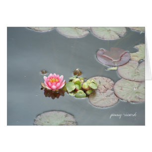 Wasser-Lilien-Karte