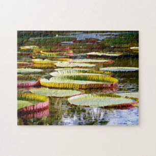 Wasser Lilien. Puzzle