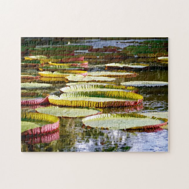 Wasser Lilien. Puzzle (Horizontal)