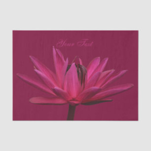Wasser-Lilien-Seidenpapier Burgunders rosa Seidenpapier