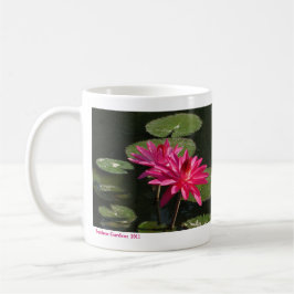 Wasser-Lilien-Tasse neuestes #4 00421 SG 2 rosa Kaffeetasse