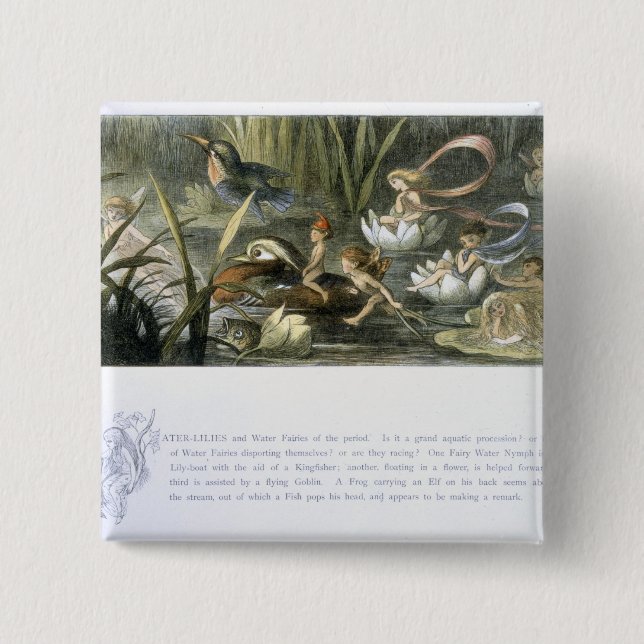 Wasser-Lilien und Wasser-Feen, Illustration von Button (Vorderseite)