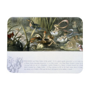 Wasser-Lilien und Wasser-Feen, Illustration von Magnet