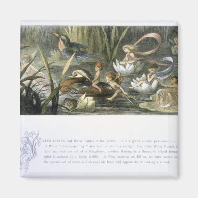 Wasser-Lilien und Wasserpflanzen, Illustration aus Magnet (Vorne)