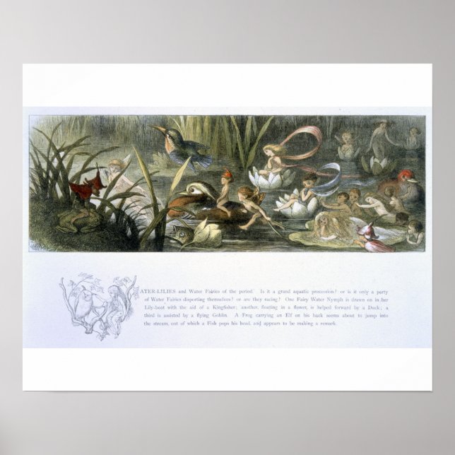 Wasser-Lilien und Wasserpflanzen, Illustration aus Poster (Vorne)