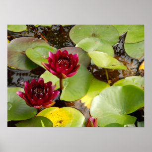 Wasser-Lippen-Poster Poster