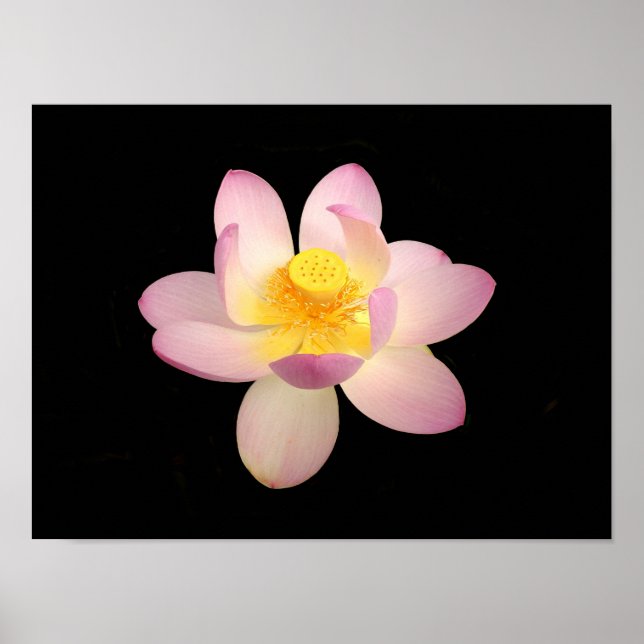 Wasser-Lippen-Poster Poster (Vorne)