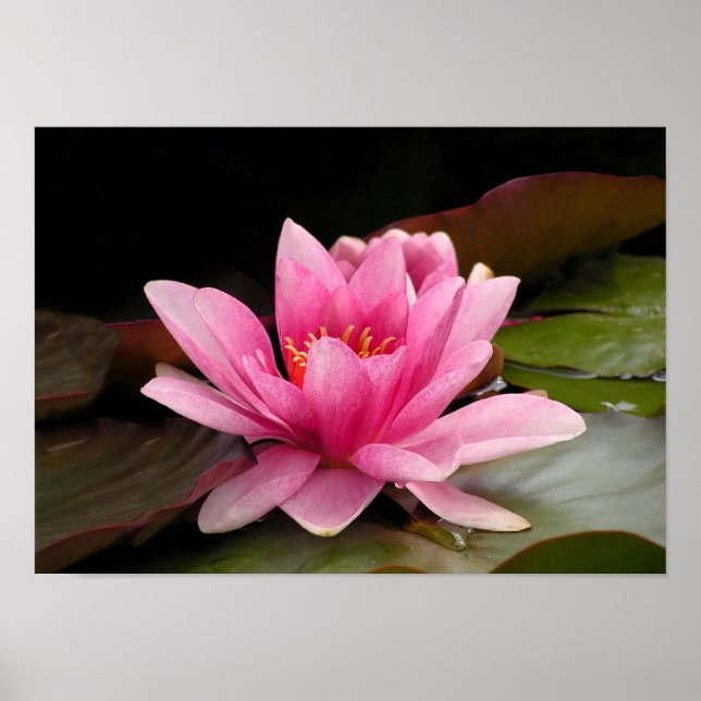Wasser-Lippen-Poster Poster (Vorne)