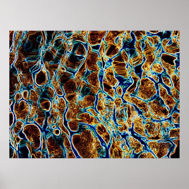 WASSER POSTER (Vorne)