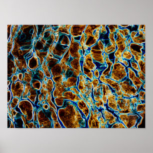 WASSER POSTER