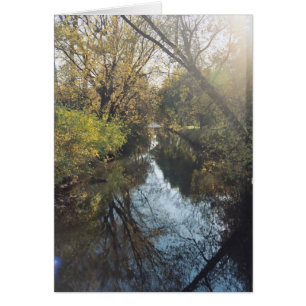 Wasser-reflektierende Bäume