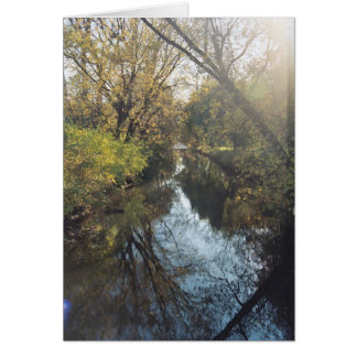 Wasser reflektierende Bäume