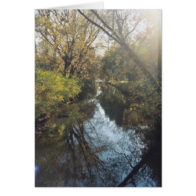 Wasser reflektierende Bäume (Vorne)