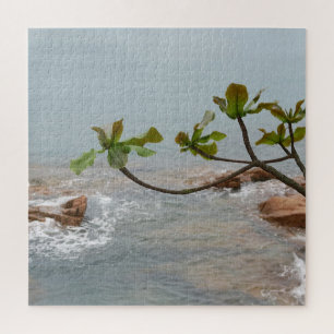 Wasser, Romantik, Landschaft, Pflanzen, Wasserfall Puzzle