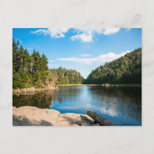 Wasser   Spruce Lake Quebec, Kanada Postkarte