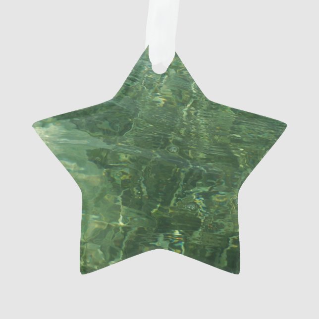 Wasser über dem Foto Gras II (blau und grün) Ornament (Rückseite)